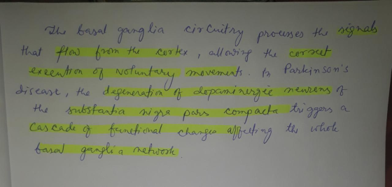The basal ganglia circuitry processes the signals that flow from the cortex, allowing the correct excention of Noluntary move