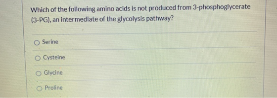 Which of the following amino acids is not produced from 3-phosphoglycerate (3-PG), an intermediate of the glycolysis pathway?