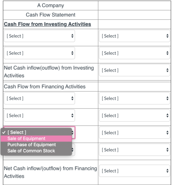 A Company Cash Flow Statement Cash Flow from Investing Activities [Select] [Select ] [Select ] [Select] Net Cash inflow(outfl