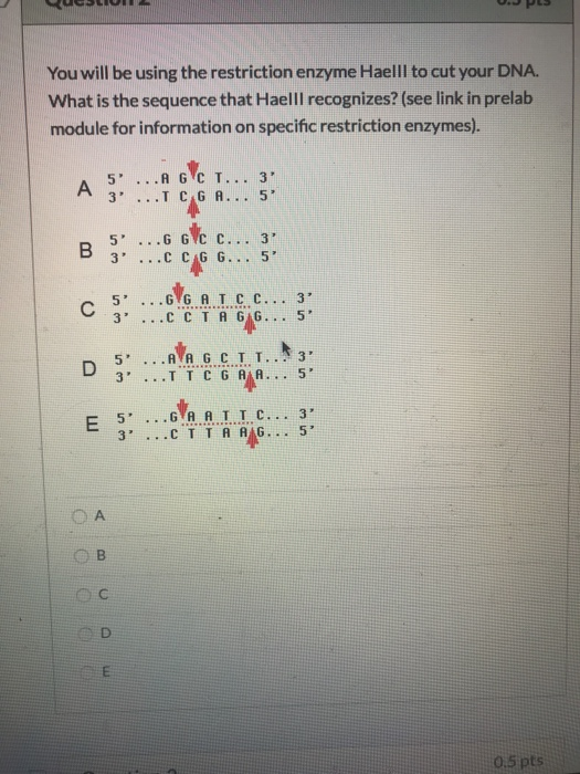 UGLIOLI 0. PLS You will be using the restriction enzyme Haelll to cut your DNA. What is the sequence that Haelll recognizes?