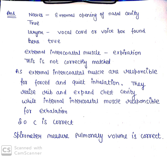 Ans Nares - External opening of nasal cavity True Larynx - vocal cord of voice box found here true external inter coastal mus