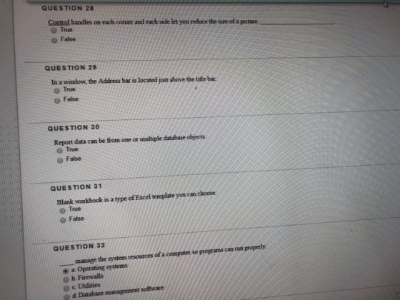 QUESTION 28 Control handles on each corner and each side let you reduce the size of a picture. True False QUESTION 29 In a wi