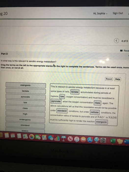 ng 20 Hi, Sophia Sign Out 4 of 5 Revie Part D In what way is this relevant to aerobic energy metabolism? Drag the terms on th