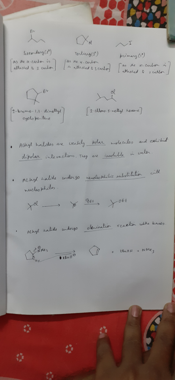 NI Secondary (x) (as the x-canton is 7 attached to a canton] Tertiary (3) (as the x-carton [saltached to a cantar a to 3 carb