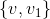\{v,v_1\}
