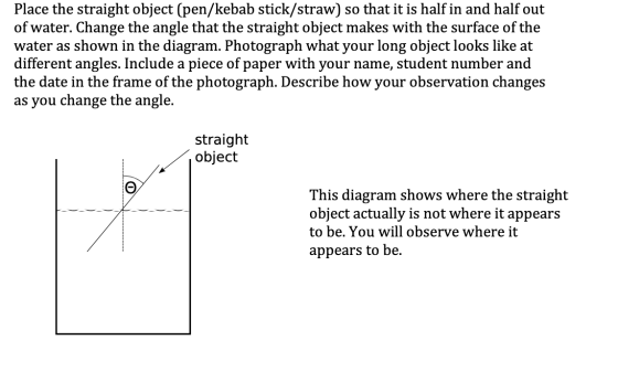 Place the straight object (pen/kebab stick/straw) so that it is half in and half out of water. Change the angle that the stra