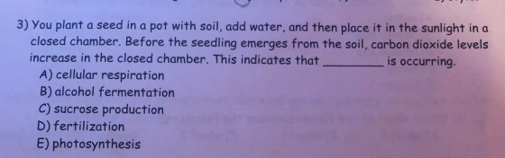 3) You plant a seed in a pot with soil, add water, and then place it in the sunlight in a closed chamber. Before the seedling