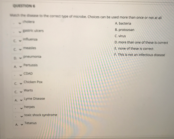 QUESTIONS Watch the disease to the correct type of microbe. Choices can be used more than once or not at all cholera A. bacte