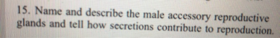 15. Name and describe the male accessory reproductive glands and tell how secretions contribute to reproduction.