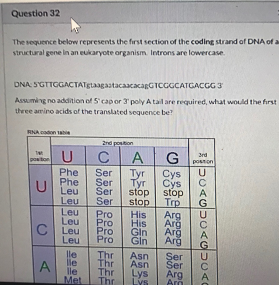 Question 32 The sequence below represents the first section of the coding strand of DNA of a structural gene in an eukaryote
