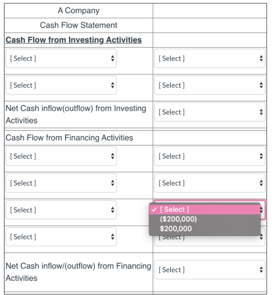 A Company Cash Flow Statement Cash Flow from Investing Activities [ Select ] [ Select] [Select] [ Select] Net Cash inflow(out