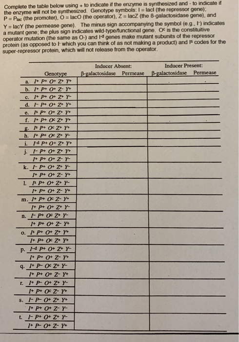 Complete the table below using to indicate if the enzyme is synthesized and to indicate if the enzyme will not be synthesized