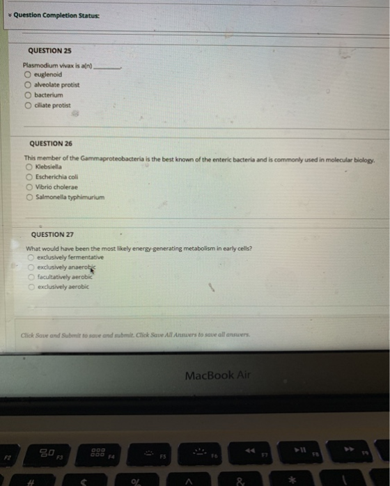 Question Completion Status: QUESTION 25 Plasmodium vivax is a(n). O euglenoid O alveolate protist O bacterium O ciliate proti