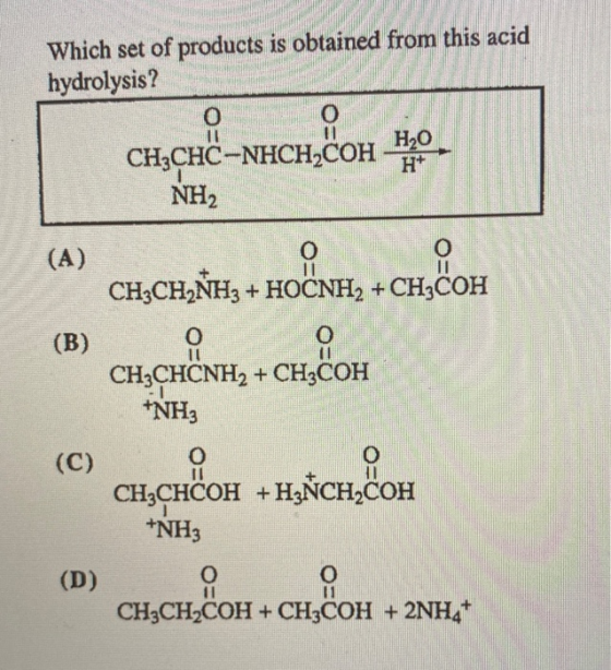 Which set of products is obtained from this acid hydrolysis? 0 0 CH2CHC-NHCH,COH 430 NH2 (A) CH3CHNH3 + HOCNH2 + CH3COH (B) C