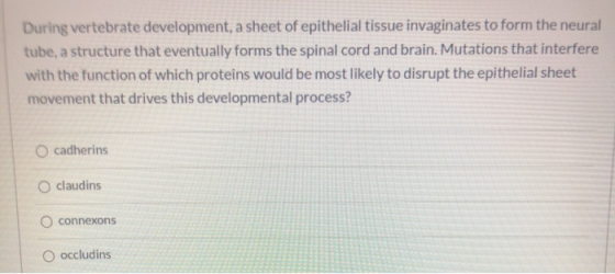 During vertebrate development, a sheet of epithelial tissue invaginates to form the neural tube, a structure that eventually