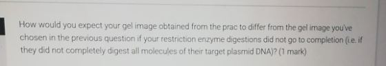 How would you expect your gel image obtained from the prac to differ from the gel image youve chosen in the previous questio