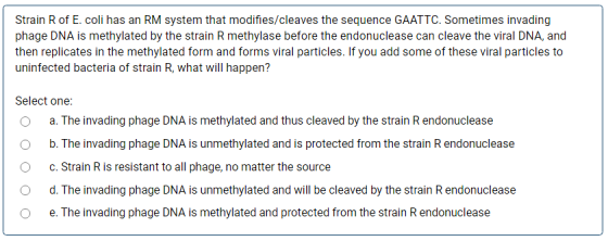 Strain R of E. coli has an RM system that modifies/cleaves the sequence GAATTC. Sometimes invading phage DNA is methylated by