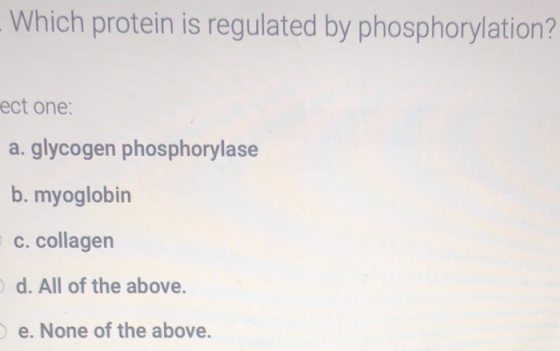 Which protein is regulated by phosphorylation? ect one: a. glycogen phosphorylase b. myoglobin C. collagen d. All of the abov