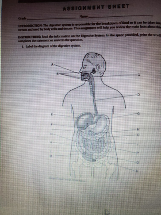 ASSIGNMENT SHEET INTRODUCTION: The digestive system is responsible for the breakdown of food so it can be taken in Stress and