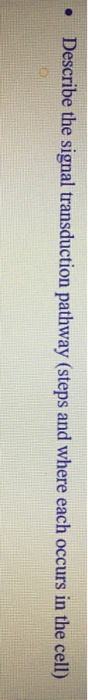 Describe the signal transduction pathway (steps and where each occurs in the cell)