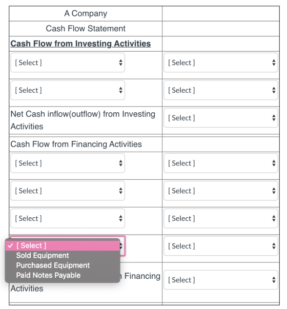 A Company Cash Flow Statement Cash Flow from Investing Activities [ Select] [ Select] [Select] [Select] Net Cash inflow(outfl