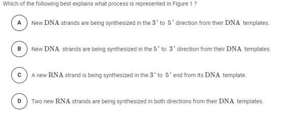 Which of the following best explains what process is represented in Figure 1 ? A) New DNA strands are being synthesized in th