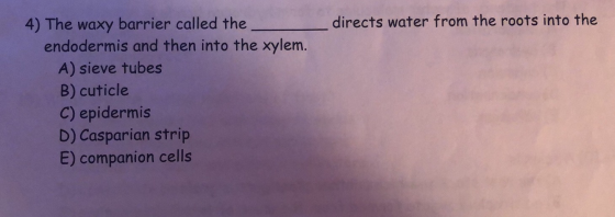 directs water from the roots into the 4) The waxy barrier called the endodermis and then into the xylem. A) sieve tubes B) cu