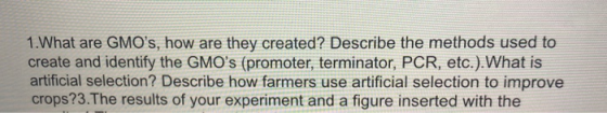 1. What are GMOs, how are they created? Describe the methods used to create and identify the GMOs (promoter, terminator, PC