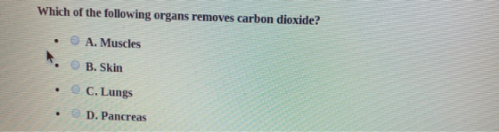 Which of the following organs removes carbon dioxide? . A. Muscles • OB. Skin C. Lungs • D. Pancreas