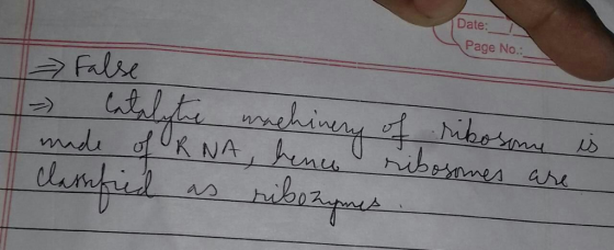 Date: Page No.: 스