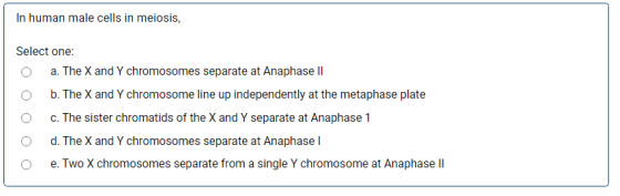 In human male cells in meiosis, Select one: a. The X and Y chromosomes separate at Anaphase II b. The X and Y chromosome line