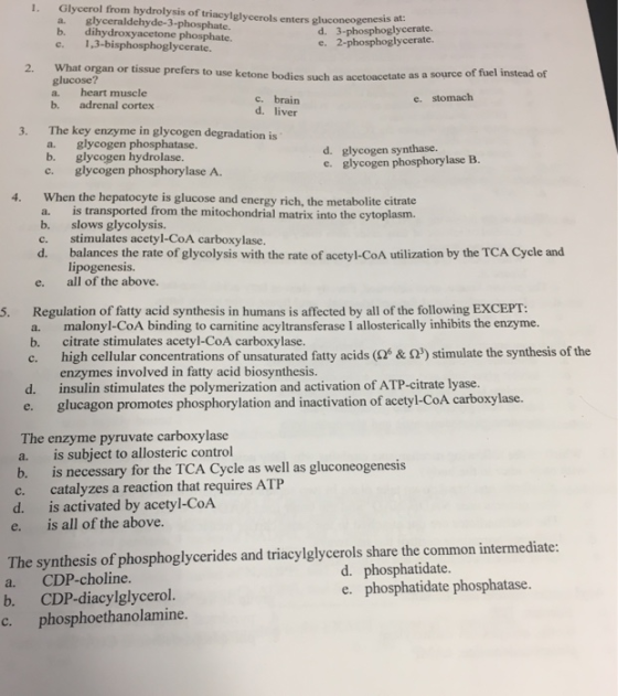 1. Glycerol from hydrolysis of triacylglycerols enters gluconeogenesis at. a. glyceraldehyde-3-phosphate. b. dihydroxyacetone phosphate. c. 1,3-bisphosphoglycerate. d. 3-phosphoglycerate. e. 2-phosphoglycerate. or tissue prefers to use ketone bodies such as acetoacetate as a source of fuel instead of glucose? a. heart muscle c. brain d. liver e. stomach b. adrenal cortex 3. The key enzyme in glycogen degradation is a. glycogen phosphatase. b. glycogen hydrolase. c. glycogen phosphorylase A d. glycogen synthase. e. glycogen phosphorylase B. When the hepatocyte is glucose and energy rich a. is transported from the mitochondrial matrix into the cytoplasm. 4. citrate b. slows glycolysis. c. stimulates acetyl-CoA carboxylase. d. balances the rate of glycolysis with the rate of acetyl-CoA utilization by the TCA Cyele and lipogenesis. e. all of the above. Regulation of fatty acid synthesis in humans is affected by all of the following EXCEPT: a. malonyl-CoA binding to carnitine acyltransferase I allosterically inhibits the enzyme. b. c. high cellular concentrations of unsaturated fatty acids (2 &23) stimulate the synthesis of the S. citrate stimulates acetyl-CoA carboxylase. enzymes involved in fatty acid biosynthesis. insulin stimulates the polymerization and activation of ATP-citrate lyase. glucagon promotes phosphorylation and inactivation of acetyl-CoA carboxylase. d. e. The enzyme pyruvate carboxylase a. is subject to allosteric control b. is necessary for the TCA Cycle as well as gluconeogenesis c. catalyzes a reaction that requires ATP d. is activated by acetyl-CoA e. is all of the above. The synthesis of phosphoglycerides and triacylglycerols share the common intermediate: a. CDP-choline. d. phosphatidate e. phosphatidate phosphatase. b. CDP-diacylglycerol. c. phosphoethanolamine.