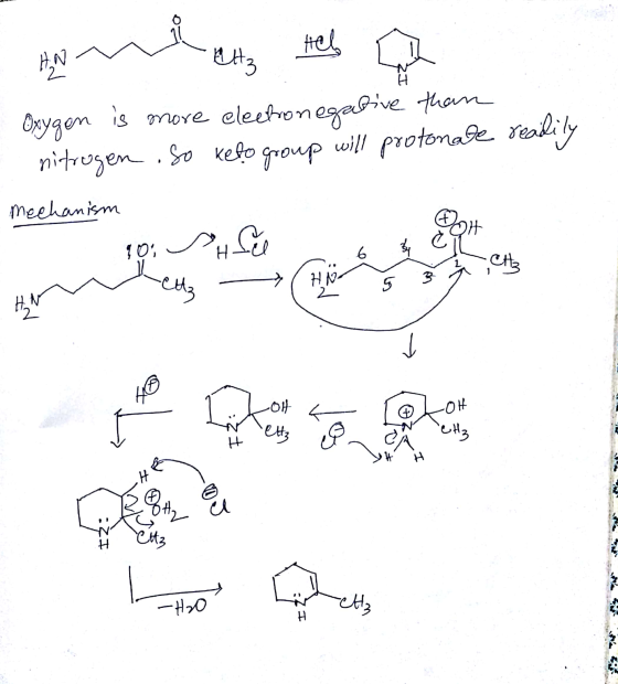 AN na at Hello Oxygen is more electronegative than nitrogen so keto group will protonate readily mechanism Soit 10 SH free 6