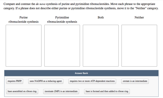 Compare and contrast the de novo synthesis of purine and pyrimidine ribonucleotides. Move each phrase to the appropriate cate