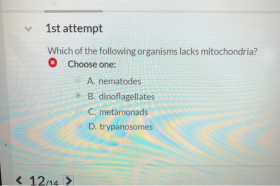 1st attempt Which of the following organisms lacks mitochondria? * Choose one: A. nematodes B. dinoflagellates C. metamonads