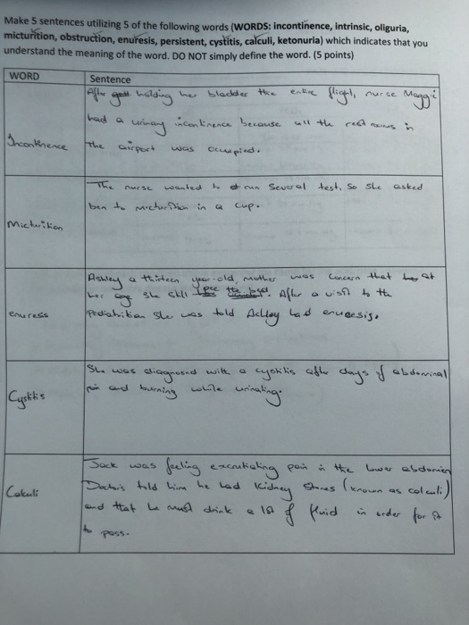 Make 5 sentences utilizing 5 of the following words (WORDS: incontinence, intrinsic, oliguria, micturition, obstruction, enur