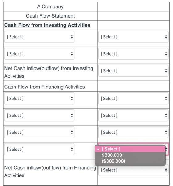 A Company Cash Flow Statement Cash Flow from Investing Activities [Select] [Select ] [ Select] [ Select] Net Cash inflow(outf