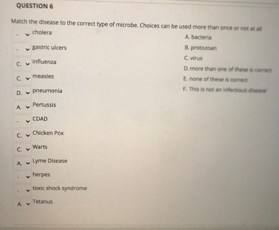 QUESTION 6 Match the disease to the correct type of microbe. Choices can be used more than once or not at all cholera A. bact