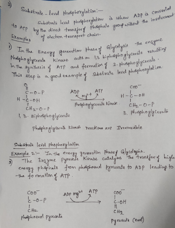 Substrate -level phosphorylation. to ATP byth Substrate level phosphorylation is whew App is ca Il by the direct transfer of