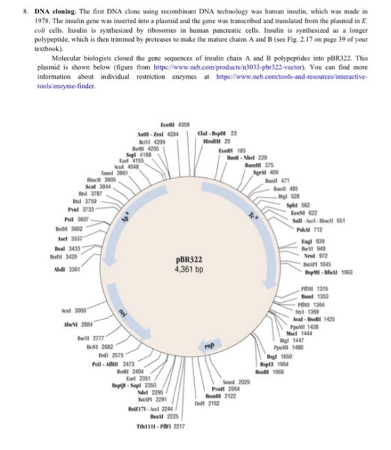 8. DNA cloning. The first DNA clone using recombinant DNA technology was human insulin, which was made in 1978. The insulin g