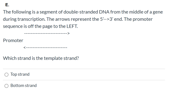E. The following is a segment of double-stranded DNA from the middle of a gene during transcription. The arrows represent the