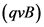 (qvB)
