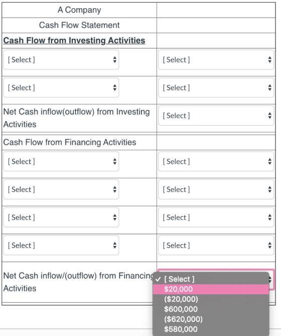 A Company Cash Flow Statement Cash Flow from Investing Activities [ Select] [Select] [ Select] [ Select] Net Cash inflow(outf