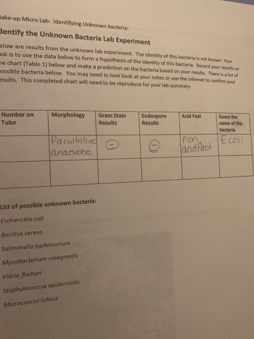 lake-up Micro Lab: Identifying Unknown bacteria: dentify the Unknown Bacteria Lab Experiment elow are results from the unknow