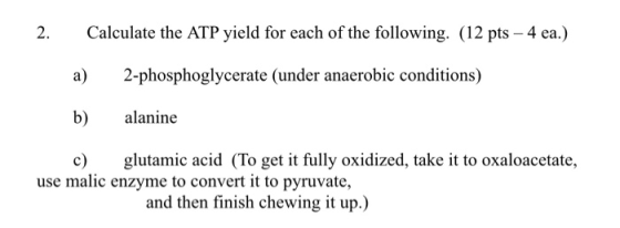 2. Calculate the ATP yield for each of the following. (12 pts – 4 ea.) a) 2-phosphoglycerate (under anaerobic conditions) b)