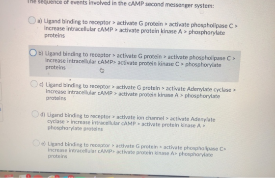 une sequence of events involved in the cAMP second messenger system: a) Ligand binding to receptor > activate G protein > act