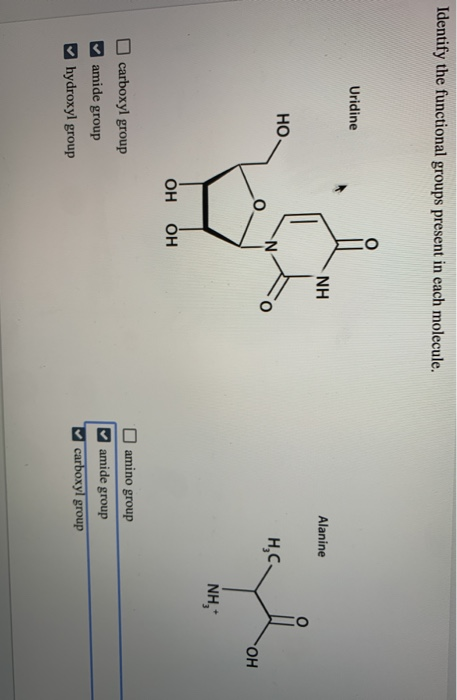 Identify the functional groups present in each molecule. Uridine Alanine HC ОН NH, он он carboxyl group amide group hydroxyl