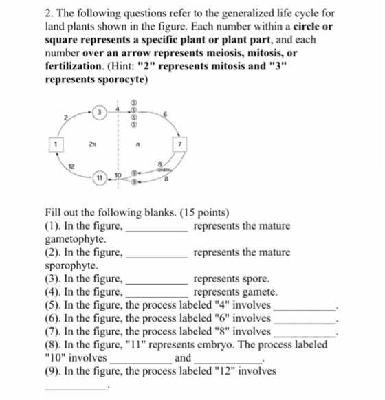 2. The following questions refer to the generalized life cycle for land plants shown in the figure. Each number within a circ