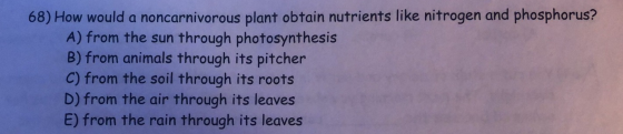 68) How would a noncarnivorous plant obtain nutrients like nitrogen and phosphorus? A) from the sun through photosynthesis B)