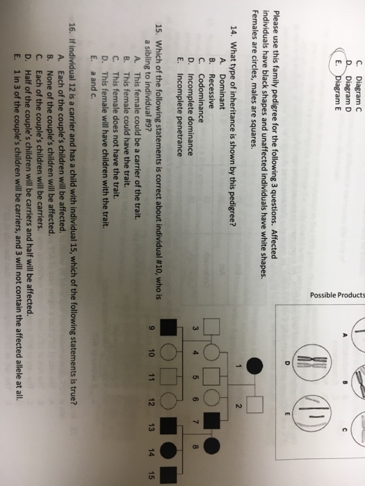 ? Possible Products
